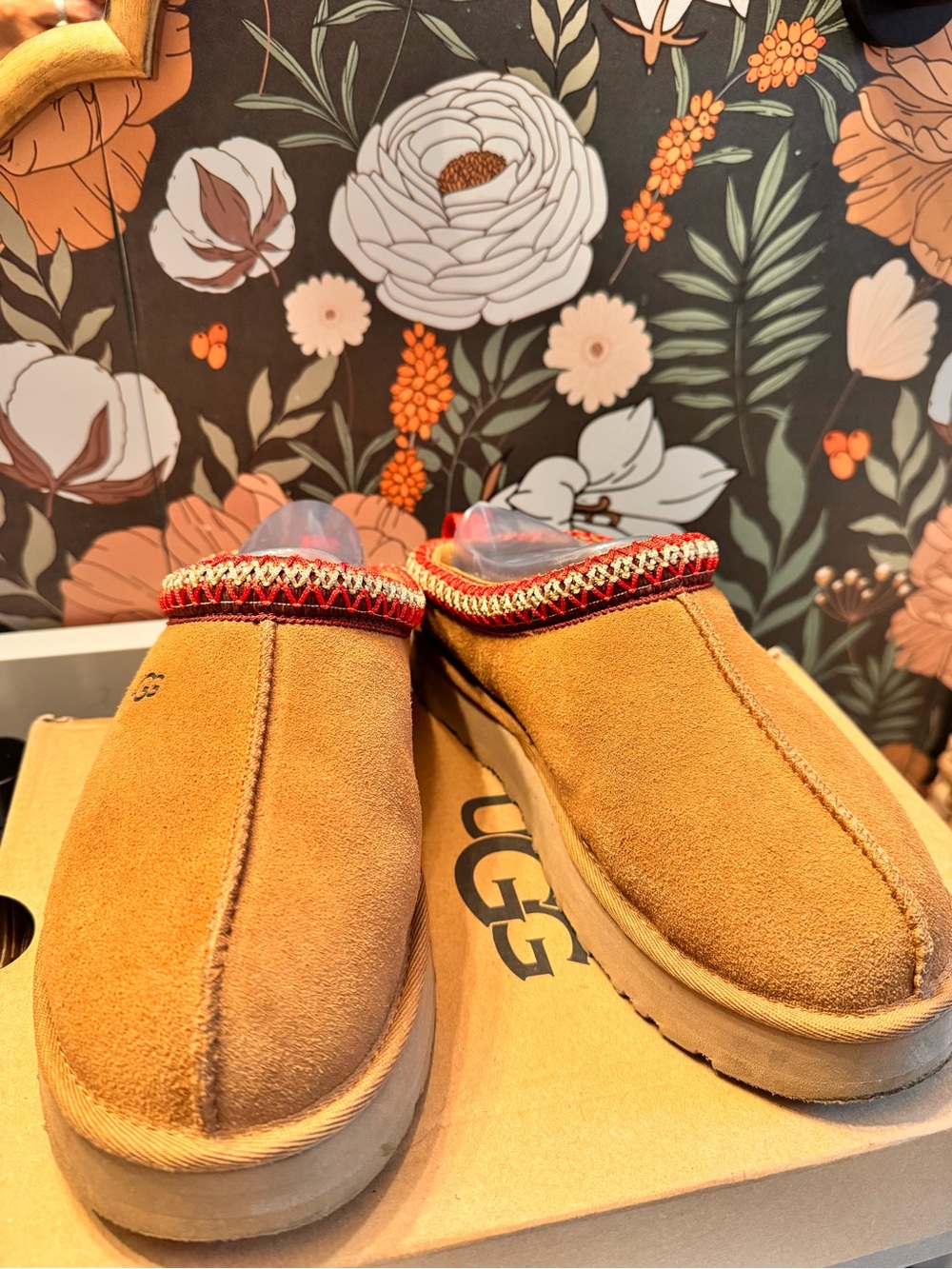 UGG Chestnut Suede Slip-On Tazz with Red Trim